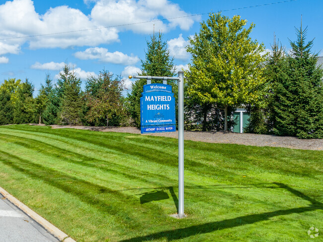 Discover the peaceful parks, top-notch schools, and friendly atmosphere in Mayfield Heights.