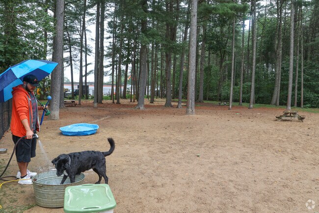 Even in the rain locals show up to enjoy Longhill Dog Park.