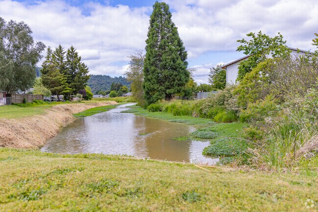 You can find small lakes throughout Memorial Park to admire on your morning walk.