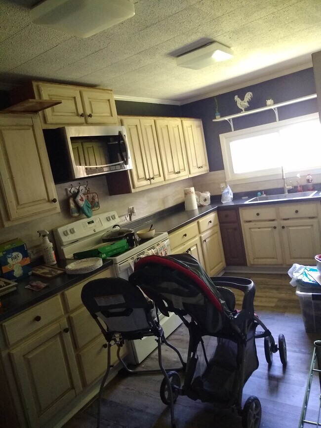 1105 Reynolds Rd, Paragould, AR 72450 - photo 3