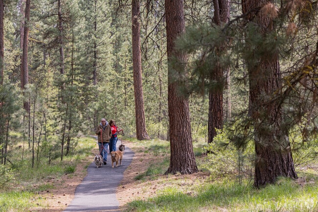 La Pine State Park is full of ponderosa pine trees in Oregon.