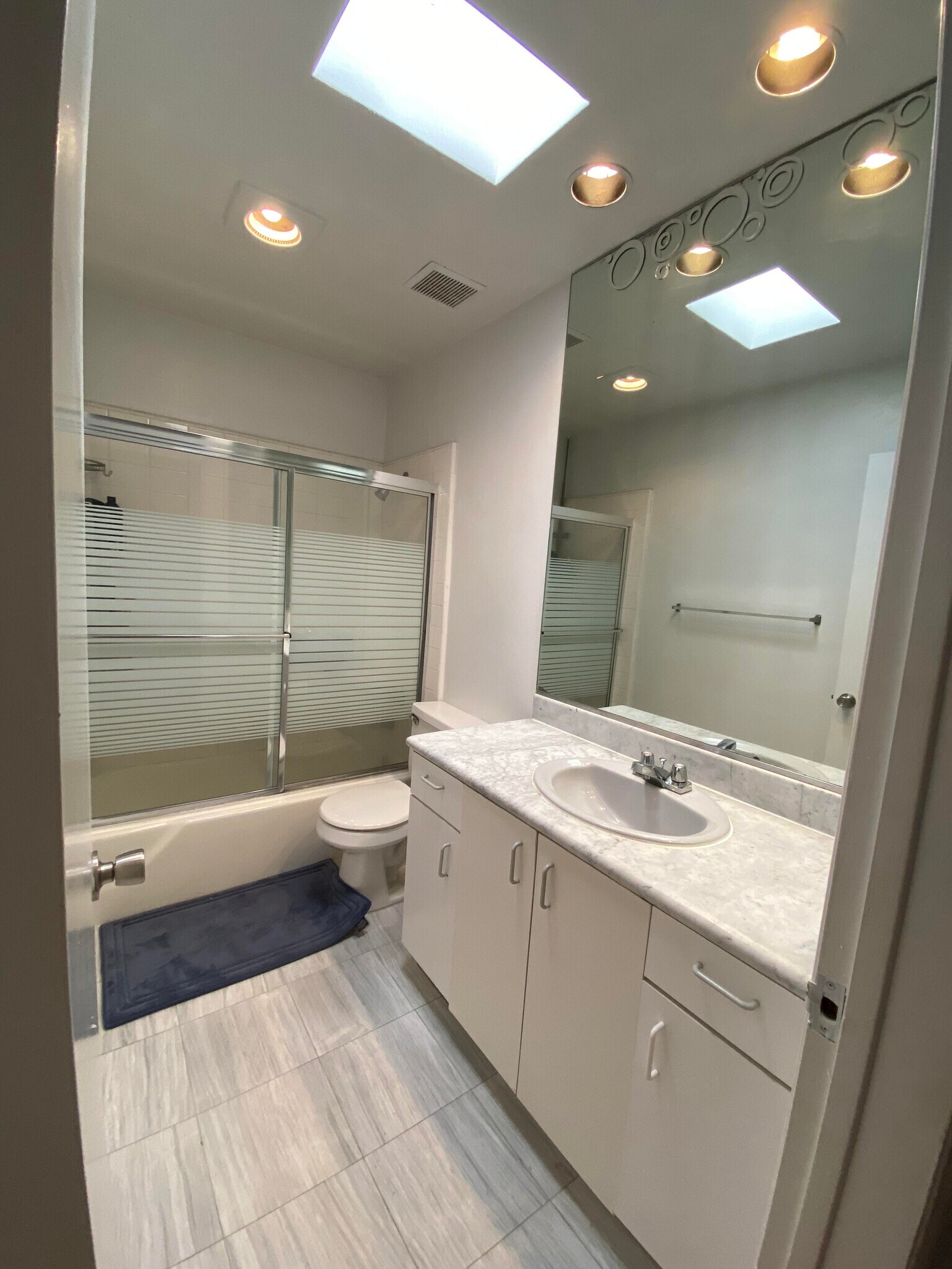Main Bathroom - Sky Light