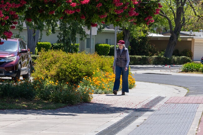 Walkable streets and vibrant gardens define the charm of Adobe Meadow-Meadow Park living.