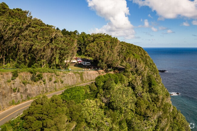 Road to Hana is famous for its incredible views.