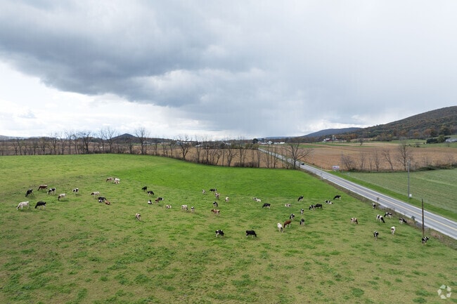 Cattle farmers line the country side in Penn Township.
