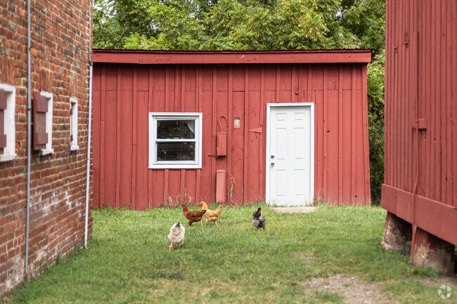 Oxon Hill Farm has many types of farm animals to see and learn about in Forest Heights.