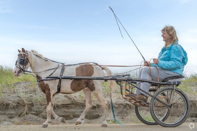 Ocean City Locals cruise the beach in style.