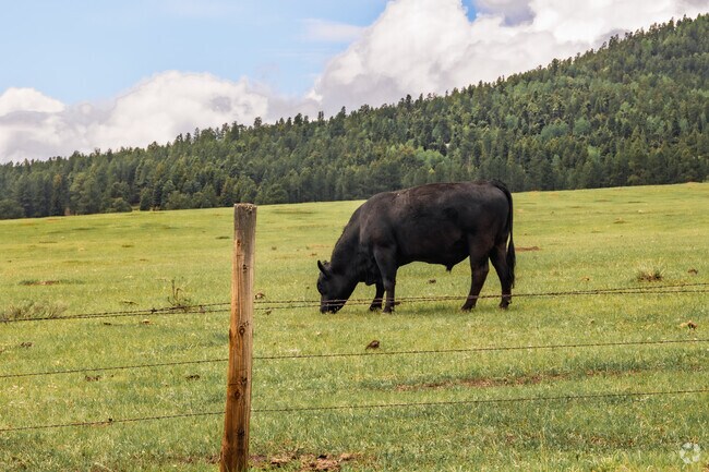 Interstate 64 leading to Eagle Nest passes lots of farm land.