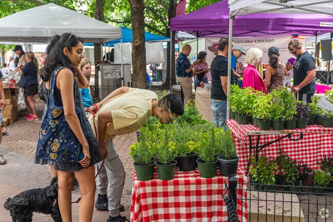 The produce smells amazing at the South Loop Farmers Market in Printers Row.