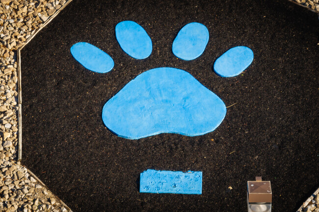 Seckman Elementary School in Imperial, MO offers various clubs and activities for students.