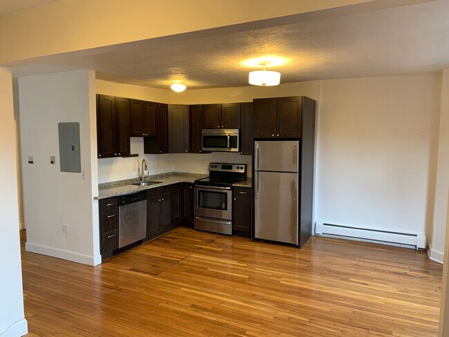 40 E Springfield St unit 1, Boston, MA 02118 - photo 7