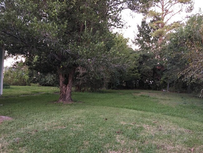 111 Madere Ln, La Place, LA 70068 - photo 3