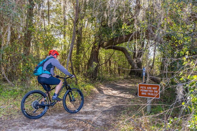 Race down the bike trails at San Felasco Hammock Preserve State Park in Alachua.