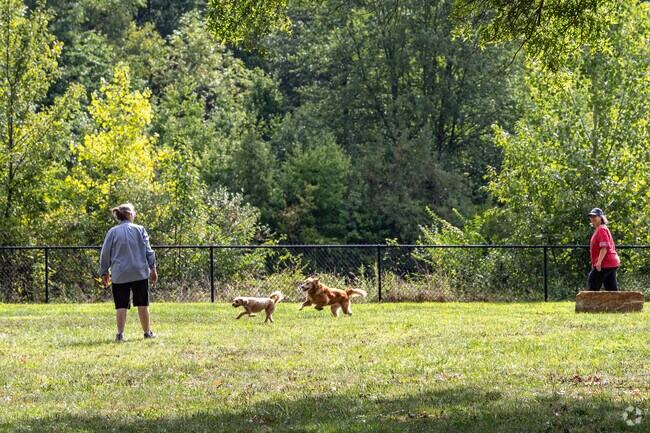At Big Walnut Farm near Greenbrier Farm, locals take their dogs to run and play.