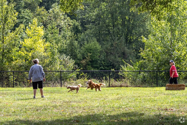 At Big Walnut Farm just south west of Olde Orchard, locals take their dogs to run and play.