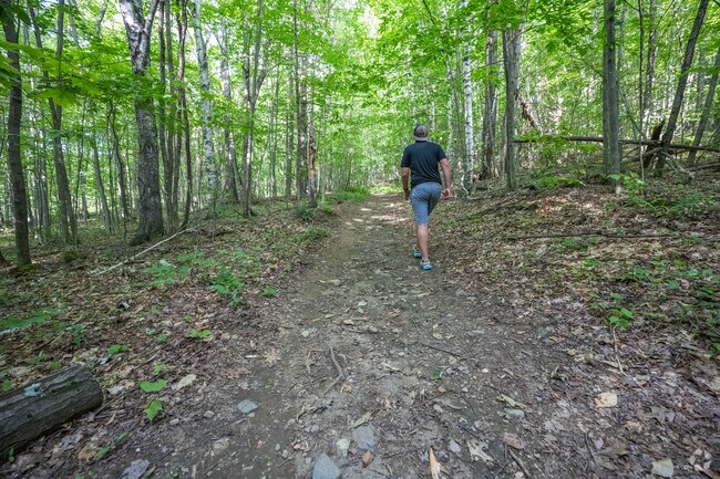 Lose yourself in thought as you wander the trails of West Windsor Town Forest.