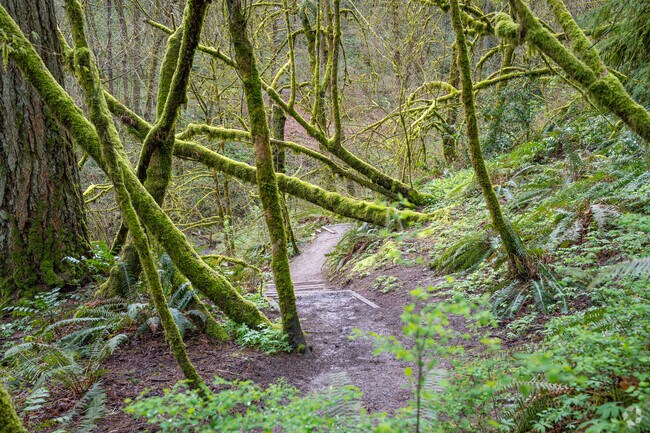 Tranquil hiking at the Woods Memorial Natural Area in the Ashcreek neighborhood.