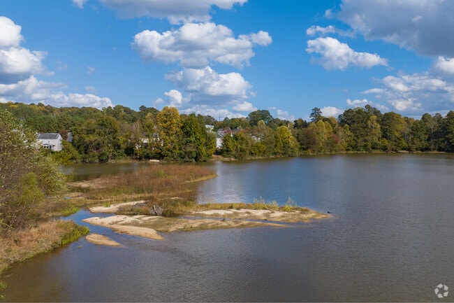 Lithia Springs' landscape is characterized by tall mature forests and abundant water sources.
