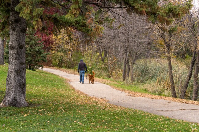 people walk their dogs around the path at Yancey Park.