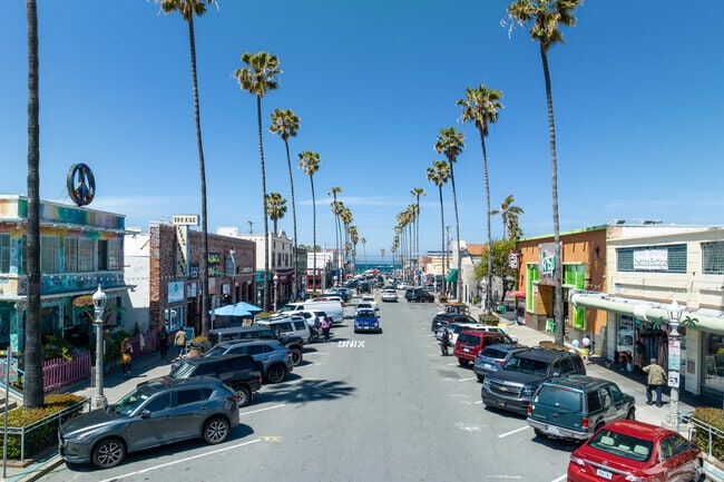 Palm trees line the main drag of Ocean Beach at Newport Ave.