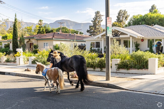 Horse riding and walking through the neighborhood is a common sight in Rancho Adjacent.