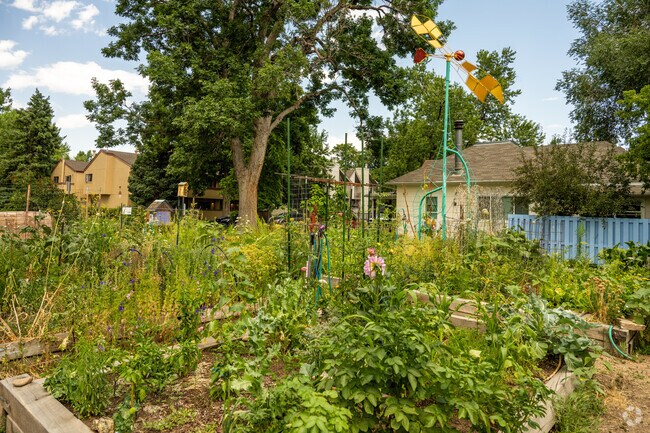 Goss Grove Neighborhood Garden is a community garden with herbs and vegetables .