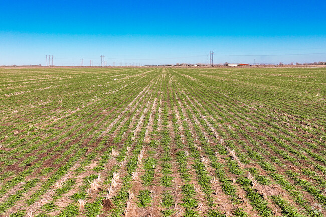 Portales is an agricultural hub in New Mexico with peanut, dairy & cattle farms throughout.