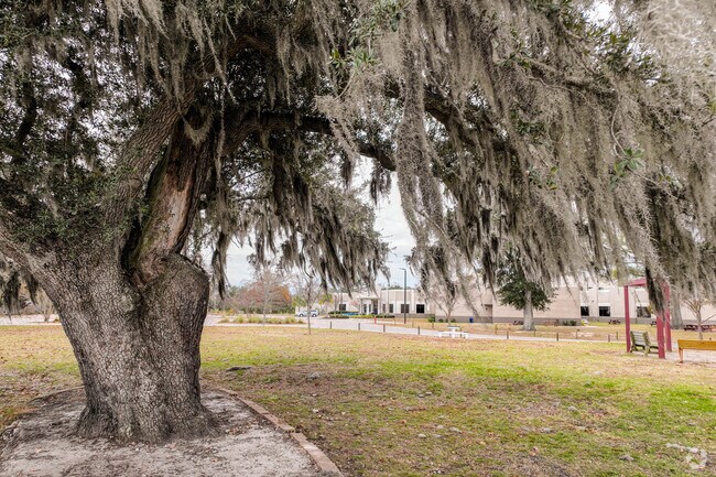 Outdoor space is vast and can be enjoyed by Palmetto Academy students.