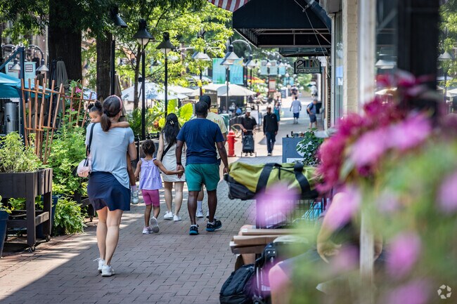 Shopping at the Historic Downtown Mall is what Ridge Street residents enjoy on their lunch.