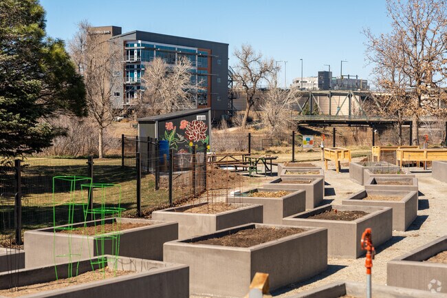 Nurture your green thumb at the local community garden in Lower Downtown.