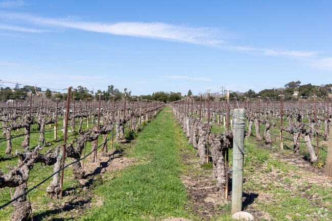 Ballard is located in wine country.