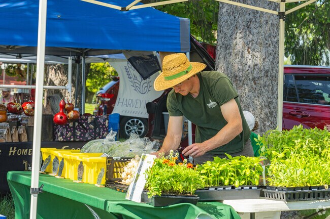 The Food Bank of Delaware attends Glasgow Park Farmers Market selling fresh produce.