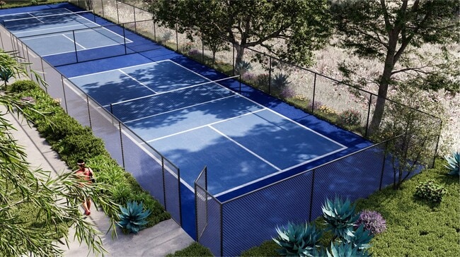 Pickleball Court