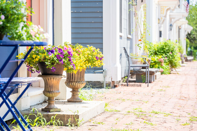 Coit is lined with fresh flowers blooming in the summertime sun.