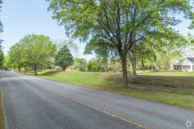 Ashley River Road paints every drive with history, mossy oaks, and peaceful scenery.