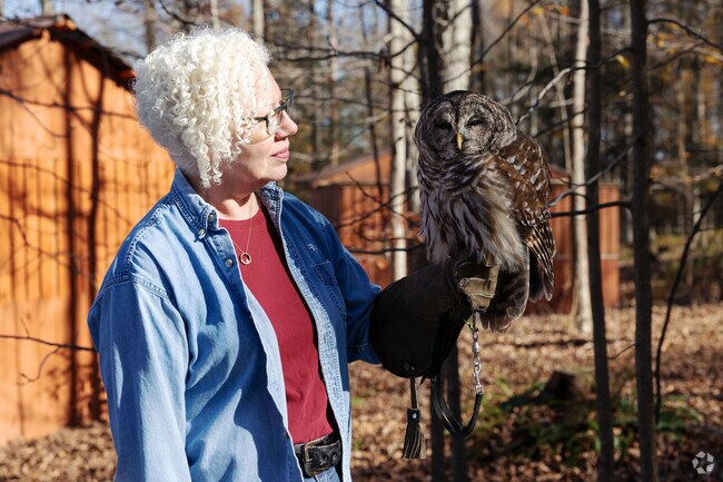 Robyn is the founder of the Centre Wildlife Care and helps over 1500 animals a year in Worth.