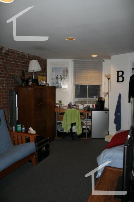 480 Massachusetts Ave unit 1, Boston, MA 02118 - photo 7