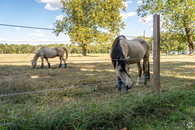 Although Hopewell Township is becoming more populated, farm life still seems to dominate.