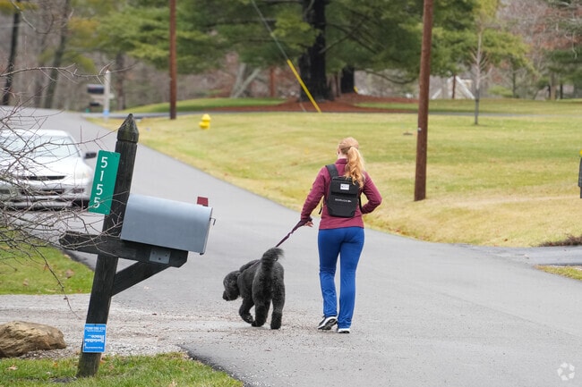 Many residents walk their dogs or take quick jogs.