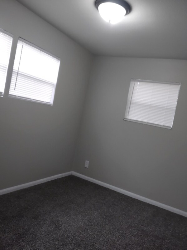 15101 N 15th St, Lutz, FL 33549 - photo 5