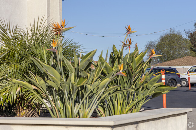 The South Bay Christian Academy in Chula Vista.