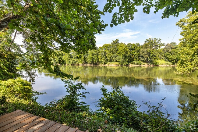 The Shenandoah River near Boyce offers peaceful views and access to boating from the Berrys Boat Ramp under the Harry Flood Byrd Bridge.