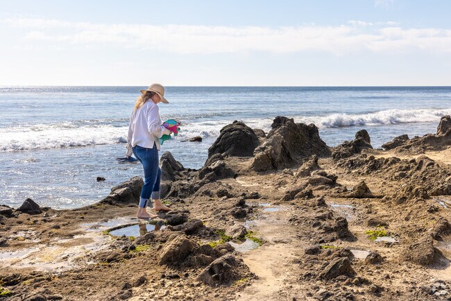 Brooks Street Beach, just a short walk from The Village, features a rugged shoreline with tide pools, rocky outcrops, and a sandy stretch beloved by surfers and beachgoers for its raw coastal beauty.