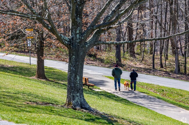 Your pup will love long walks through Black Hill Regional Park.