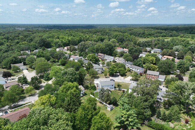 Tree lined streets make up the residential neighborhood of Olentangy High Bluffs.