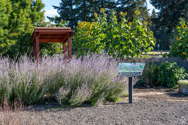 Pacific Community Park features an interactive garden.