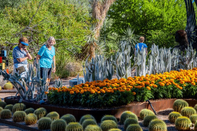 Avondale locals flock to Tucson Botanical Garden for its artfully crafted installations.