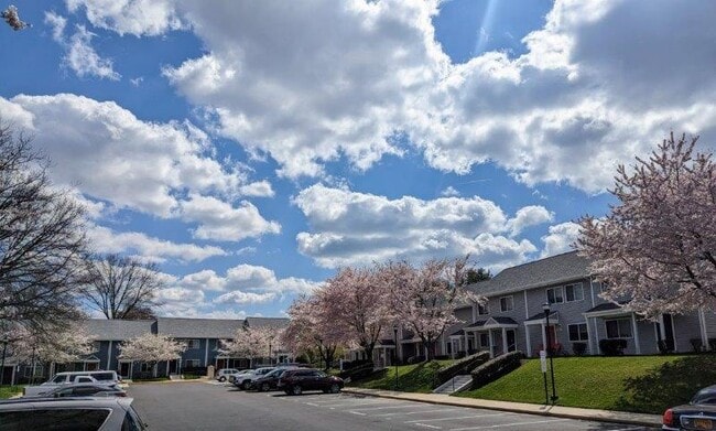 Stewartown Homes, Gaithersburg, MD 20879 - photo 7