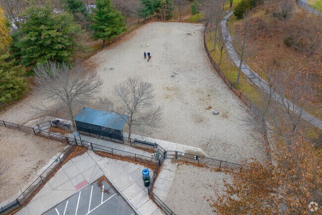 Danehy Park has a designated area for dogs in North Cambridge.