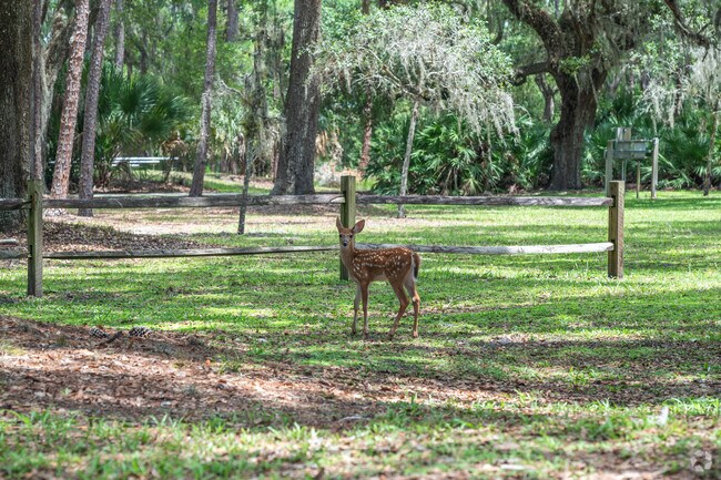 Residents of Storey Park enjoy the beauty of nature at Moss Park.